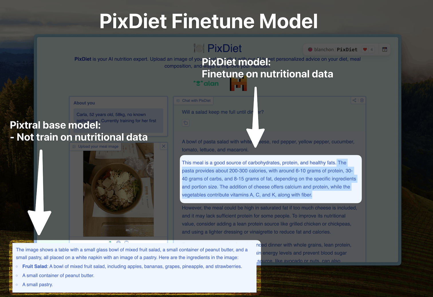 PixDiet UI showing generation results